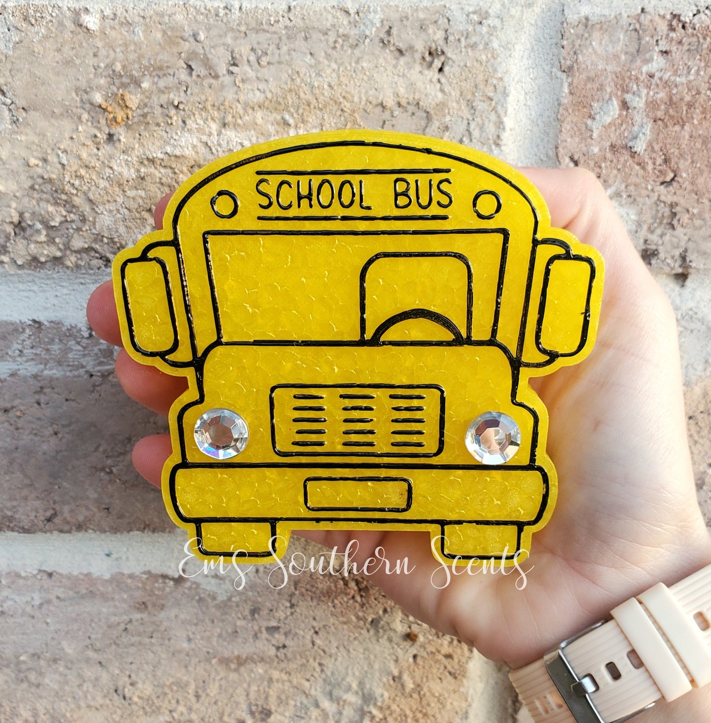 School Bus Mold